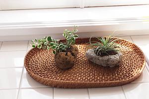 ペンダントライトを通販で買うなら