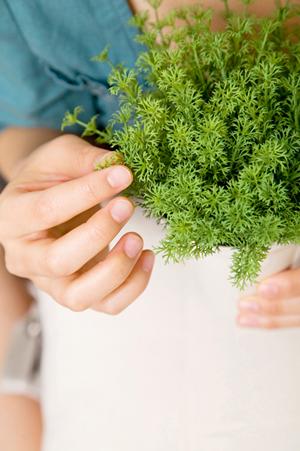 家具販売をサポートしてくれる会社