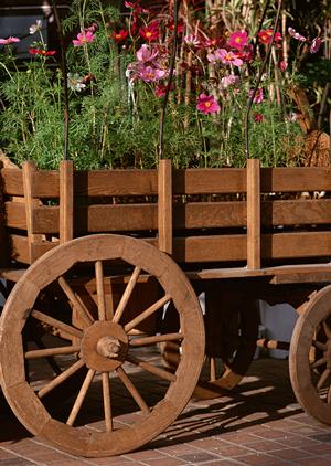 集客を期待する事ができるブースを提供