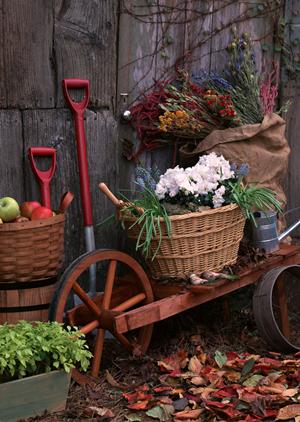 遮光カーテンを選ぶポイントとおすすめ