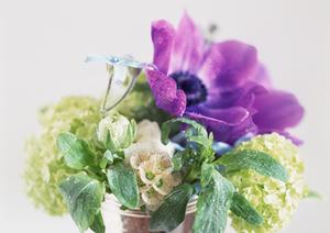 【新宿ショールーム】タカラスタンダードの最新設備を体感！予約やアクセス情報も詳しく紹介