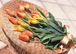 買い取りも販売もおすすめのショップ