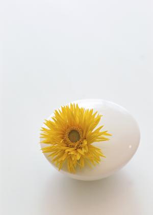 多くの人が注目する北欧インテリア